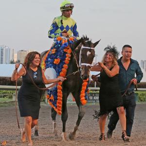 Brooklyn Boyz Stables, Teresa Viola Racing Stables et al.